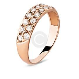 ring-1